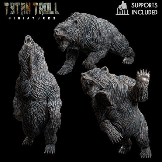 Bear Bundle - TytanTroll Miniatures - DnD - Fantasy