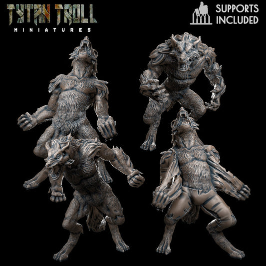 Werewolf Bundle - TytanTroll Miniatures - DnD - Fantasy
